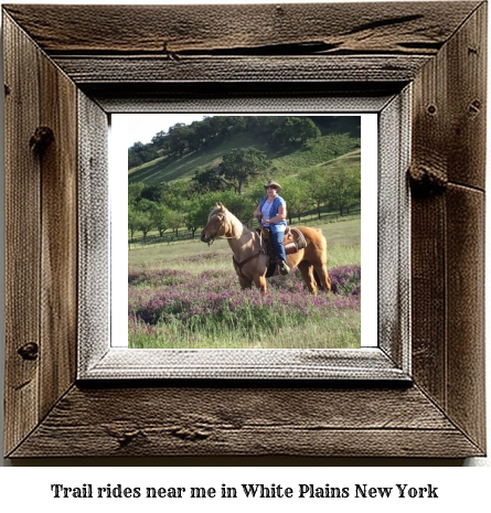 trail rides near me in White Plains, New York